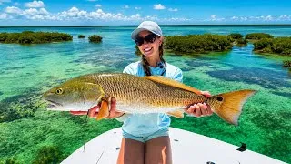 Thumbnail: We Found Hidden Crystal Clear Flats in the Everglades! (Tarpon, Snook & Redfish) 