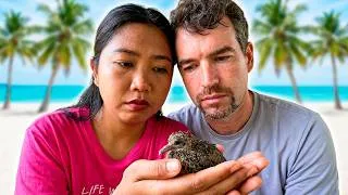 Thumbnail: HOW TO COPE WITH THE LOSS OF A PET | Finding Paradise in the Philippines | ISLAND LIFE