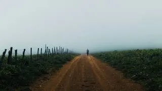 Thumbnail: somewhere between dust and light - bmpcc og