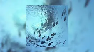 Thumbnail: Blink - Nuvfr (slowed + reverb)