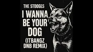 Thumbnail: I Wanna Be Your Dog – The Stooges (DnB Remix)