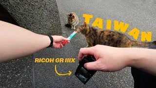 Thumbnail: 7 days in Taiwan | Cat Village & Spirited Away town Jiufen - Travel Vlog