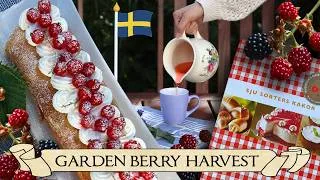 Thumbnail: Cozy Baking Homemade Traditional Swedish Fika Sweets 🍰 Countryside Garden Harvest🫐Slow Simple Living