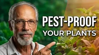 Thumbnail: Why High Brix Plants Don't Get Attacked by Pests