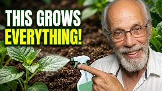 Thumbnail: Why Foliar Feeding is the Gardener's Best Kept Secret