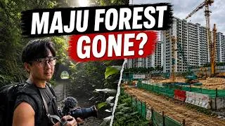 Thumbnail: I Explored Singapore’s Maju Forest Before Two-Thirds Could Be Developed