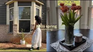 Thumbnail: hello spring: plans for my dream backyard, chill family trip to miami, vintage shopping