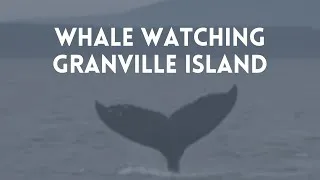 Thumbnail: WHALE WATCHING: GRANVILLE ISLAND, BC