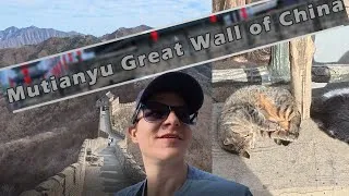 Thumbnail: This Hidden Great Wall Spot Is Way Better Than All The Other Sections