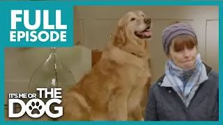 Thumbnail: The Poop Eating Dog That Pushes One Family to Breaking Point | S2 E17 | It's Me or the Dog UK (2021)