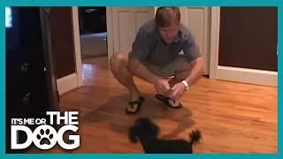 Thumbnail: Why This Dog Only Attacks Men on Walks | It's Me Or The Dog