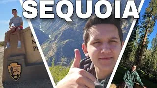 Thumbnail: Observing The MASSIVE Trees In Sequoia National Park! | Vacation Vlog Part 1/3 #vlog #sequoia