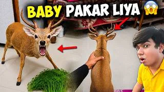 Thumbnail: FINALLY Monster Deer Ka Baby Pakad Liya 😱 | खतरनाक हिरण का बच्चा मिल गया 🚨 कीमत ₹3 लाख?! 😨 | Day 1
