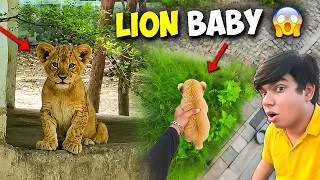 Thumbnail: FINALLY Lion Baby Ko Pakad Liya 🦁😱 - कीमत ₹50 लाख?! अब क्या करें? 😨 Need Help 🚨 | Day 1