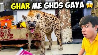 Thumbnail: Raat Ko Hyena Ghar Me Ghus Gya 😱 | घर में खतरनाक लकड़बग्घा घुस गया 🚨 Please Help 🙏