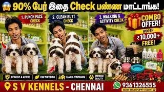 Thumbnail: 🐶 Shih Tzu Complete Guide Tamil | Care Tips, Buying Guide & Combo Offers | SV Kennels Chennai #pets