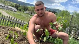 Thumbnail: Ivan's adaptation in an old rural house. He plants vegetables and pumps water to the attic