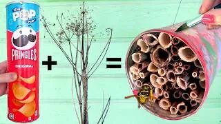 Thumbnail: Turning Trash into an Insect Hotel + First Guests!