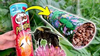 Thumbnail: Painting a DIY Pringles Can Bug Hotel for Pollinators