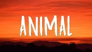 Thumbnail: KATSEYE - Animal (Lyrics)