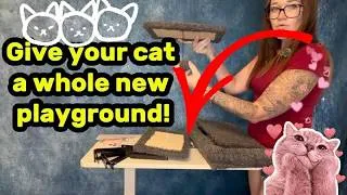 Thumbnail: 6-in-1 Wall-Mounted Cat Tree & Shelves Review! 🐈 Ultimate Space-Saving Playground for Large Cats