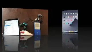 Thumbnail: Traceable wifi thermometer network connection