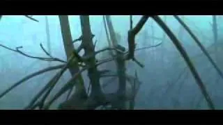 Thumbnail: Teardrop Explodes   Ouch Monkeys