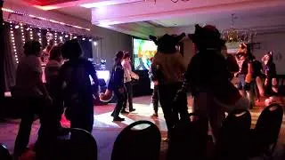 Thumbnail: Dolphin on the Dance Floor at Furcationland 2023!