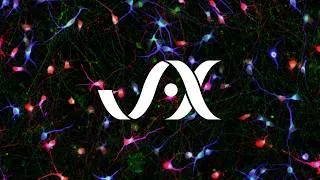 Thumbnail: JAX In Motion | The Parkinson’s Pathway: Stem Cells in Action