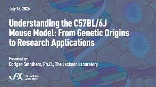Thumbnail: Understanding the C57BL/6J Mouse Model: From Genetic Origins to Research Applications