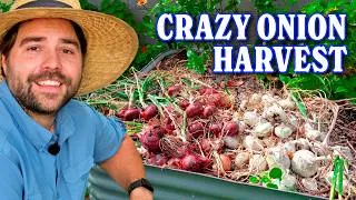 Thumbnail: How Much Has The Garden Grown? | Harvests and Updates
