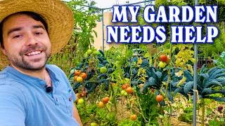 Thumbnail: 2 Hours of Gardening in 26 Minutes