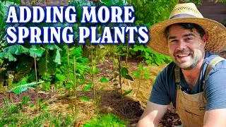 Thumbnail: First Harvests and More Planting In My Spring Garden!