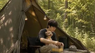 Thumbnail: 🌿 무더운 여름 숲속, 강아지와 조용한 캠핑 | Forest Camping ASMR 🐶⛺