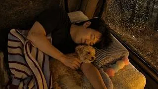 Thumbnail: 2시간 빗소리 숙면유도용 영상 🌧️ | 비 오는 날 강아지와 캠핑 ASMR 🐶