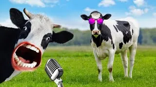 Thumbnail: These Cows are talking hilarious│Cow videos