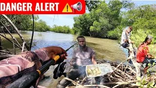 Thumbnail: Epic MANGROVE FISHING in Jamaica! CATCH & COOK Brim Snapper, Jack 