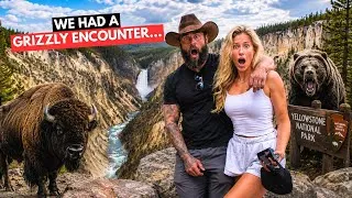 Thumbnail: British Couple See Yellowstone National Park for the First Time!🇺🇸