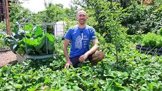 Thumbnail: Full New Jersey 10 Acre Farm and Garden Tour