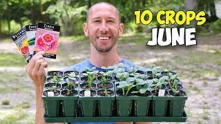 Thumbnail: 10 Crops You'd Be Foolish Not to Plant in June