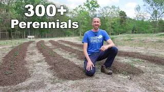 Thumbnail: Planting Over 300 Perennial Fruits at the Permaculture Farm