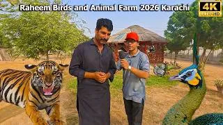 Thumbnail: Raheem Birds and Animals Farm 2026 Karachi Fancy Hen, Ducks, Peacock, Macaw Parrots and Lion