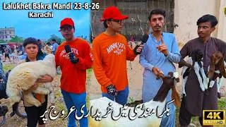 Thumbnail: Lalukhet Sunday Bakra Mandi 23-8-26 Karachi Gulabi Goat Tapray Kamorey Unique Pakistani Goat Breeds