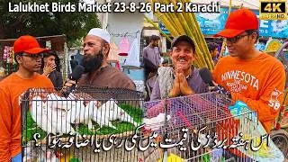 Thumbnail: Lalukhet Birds Market 23-8-26 Karachi Part 2 | Unique and Rare Birds Teeter Pigeons Java Birds
