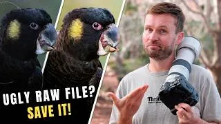 Thumbnail: Before You Delete That Ugly RAW File, Try This!