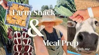 Thumbnail: FARM SNACKS & MEAL PREP