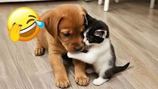 Thumbnail: You Laugh You Lose 🐱 Funniest Cats and Dogs 2026🤣