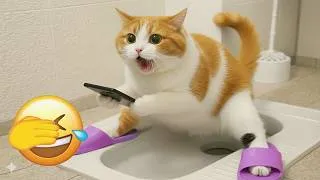 Thumbnail: 🤣 Epic Cat Fails, Funny Reactions, and Viral Moments of 2026 | Ultimate Cat Entertainment 🐾🎉