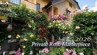 Thumbnail: 【Private Residence】A Rose Garden Master's Gift to 2026.   ローズガーデンの巨匠が贈る匠の技2026