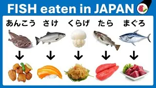 Thumbnail: Learning Hiragana Through FISH NAMES! Learn JAPANESE, Nihongo